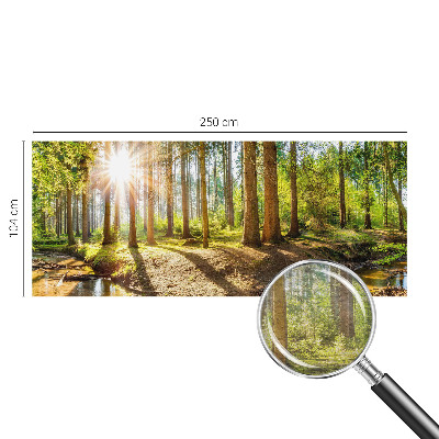 Modern wall mural for bedroom Forest idyll