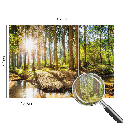 Modern wall mural for bedroom Forest idyll