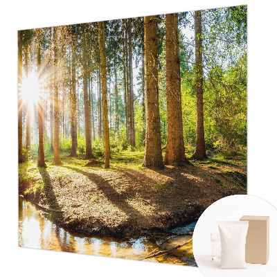Modern wall mural for bedroom Forest idyll