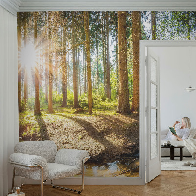 Modern wall mural for bedroom Forest idyll