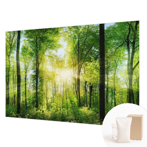 High quality wall mural wallpaper featuring a forest harmony design