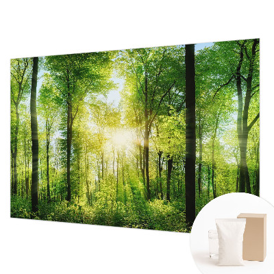 High quality wall mural wallpaper featuring a forest harmony design