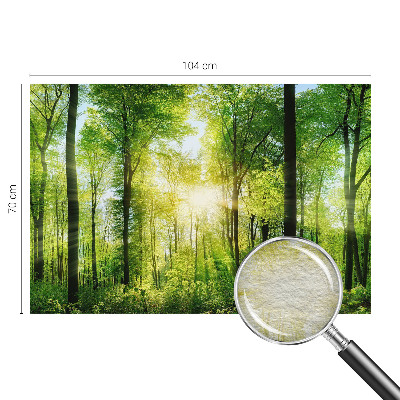 High quality wall mural wallpaper Forest harmony