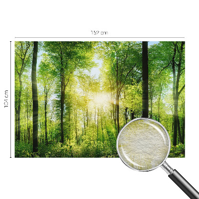 High quality wall mural wallpaper featuring a forest harmony design