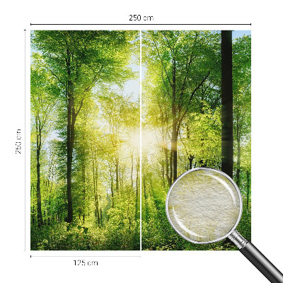 High quality wall mural wallpaper Forest harmony