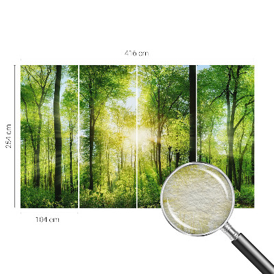 High quality wall mural wallpaper featuring a forest harmony design