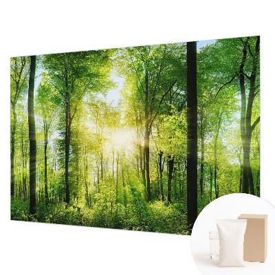 High quality wall mural wallpaper featuring a forest harmony design