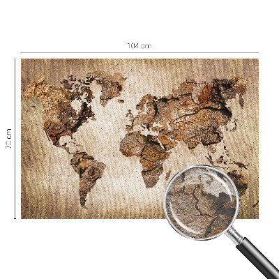 Wall mural Wooden map