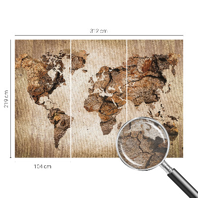 Wall mural Wooden map