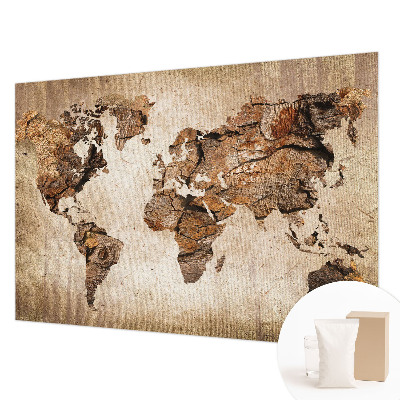 Wall mural Wooden map