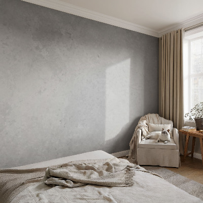 Photo wall mural Elegant gray