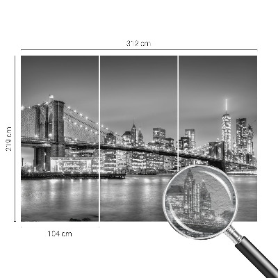Wall mural for living room The metropolis bridge
