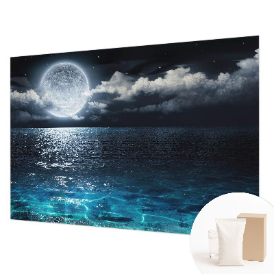 Wallpaper mural for living room Night sea
