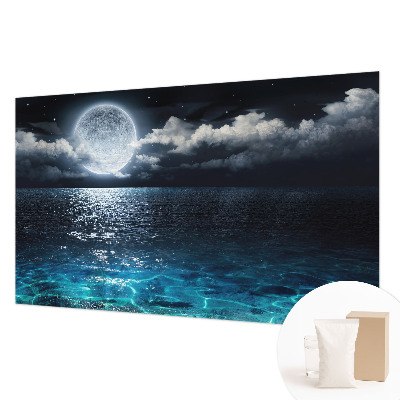 Wallpaper mural for living room featuring a night sea scene