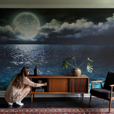 Wallpaper mural for living room Night sea