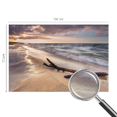 Large wallpaper mural featuring the West Beach scene