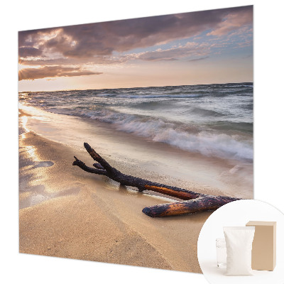 Large wallpaper mural featuring the West Beach scene