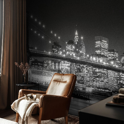 Large wall mural Night panorama