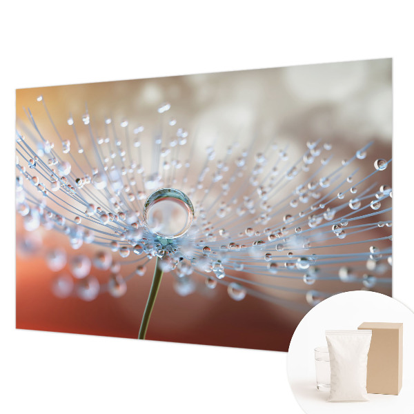Large wall mural wallpaper featuring a close-up of a dandelion with a single falling seed