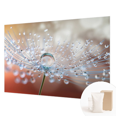 Large wall mural wallpaper featuring a close-up of a dandelion with a single falling seed