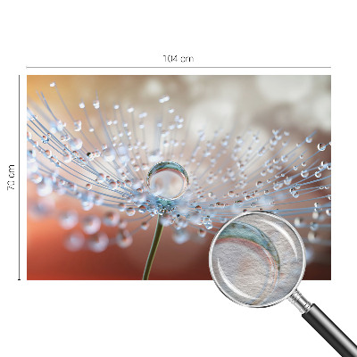 Large wall mural wallpaper featuring a close-up of a dandelion with a single falling seed