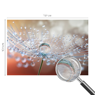 Large wall mural wallpaper featuring a close-up of a dandelion with a single falling seed
