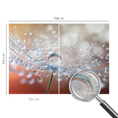 Large wall mural wallpaper A drop on a dandelion