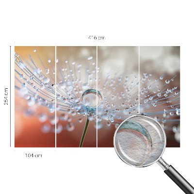 Large wall mural wallpaper A drop on a dandelion
