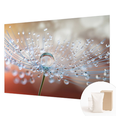 Large wall mural wallpaper A drop on a dandelion