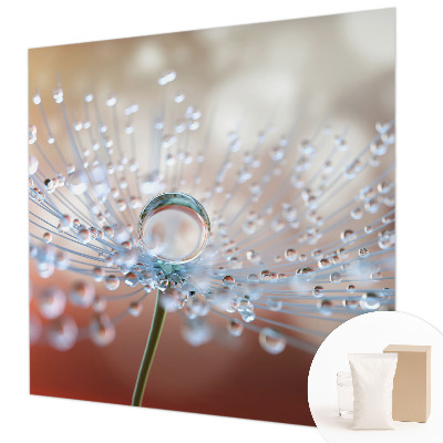 Large wall mural wallpaper featuring a close-up of a dandelion with a single falling seed