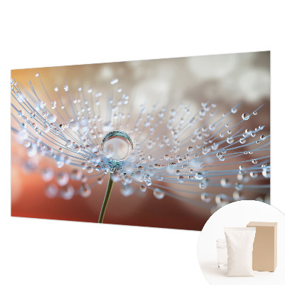 Large wall mural wallpaper featuring a close-up of a dandelion with a single falling seed
