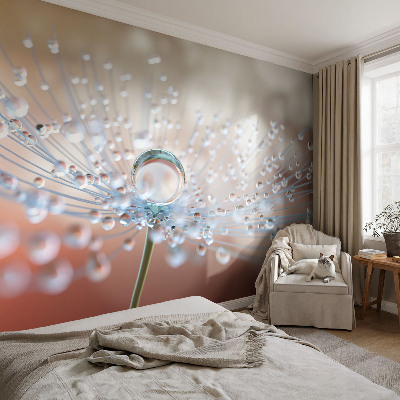 Large wall mural wallpaper A drop on a dandelion