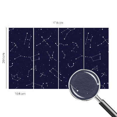 Wall mural for bedroom Astro Sky