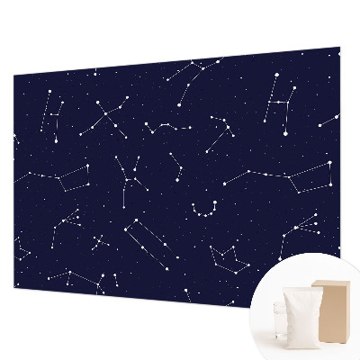 Wall mural for bedroom with an astro sky design