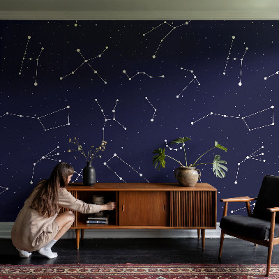 Wall mural for bedroom with an astro sky design