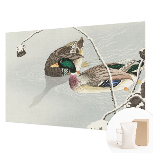 Non-woven photo wallpaper with a calm ducks motif