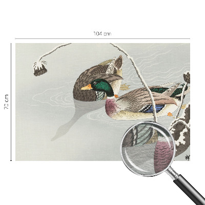 Non-woven photo wallpaper with a calm ducks motif