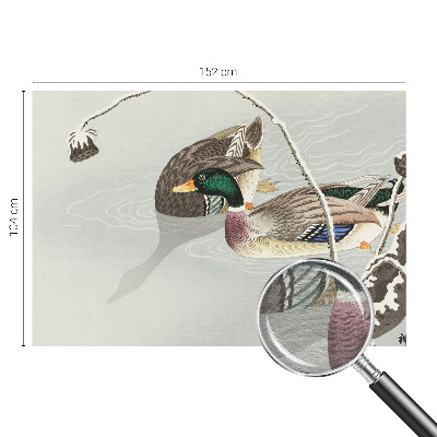 Non-woven photo wallpaper with a calm ducks motif