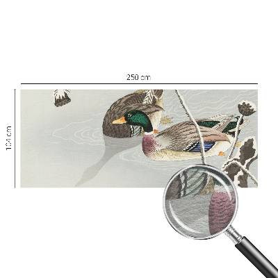 Non-woven photo wallpaper Calm ducks