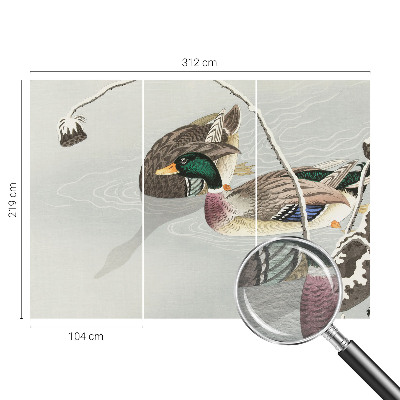 Non-woven photo wallpaper with a calm ducks motif