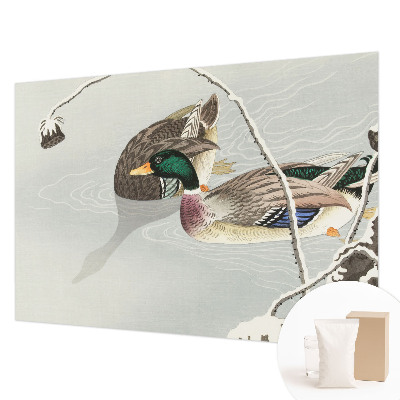 Non-woven photo wallpaper Calm ducks