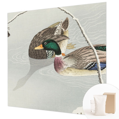 Non-woven photo wallpaper with a calm ducks motif