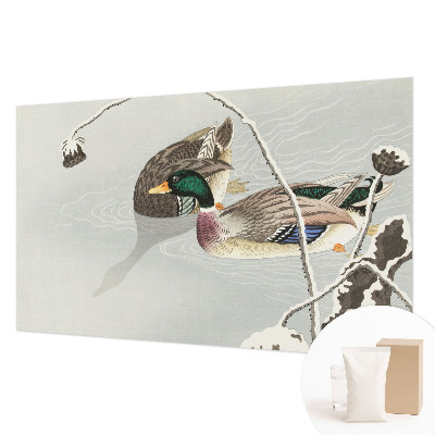 Non-woven photo wallpaper with a calm ducks motif