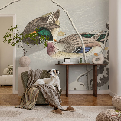Non-woven photo wallpaper Calm ducks