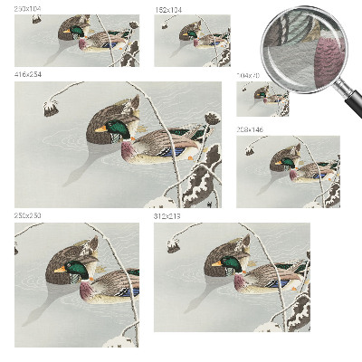 Non-woven photo wallpaper with a calm ducks motif