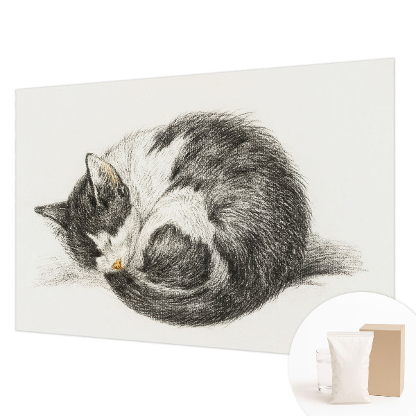 Modern wall mural for bedroom featuring an adorable kitten design