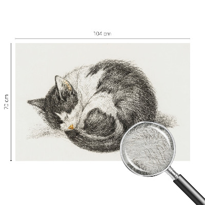 Modern wall mural for bedroom Adorable kitty