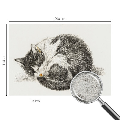 Modern wall mural for bedroom featuring an adorable kitten design