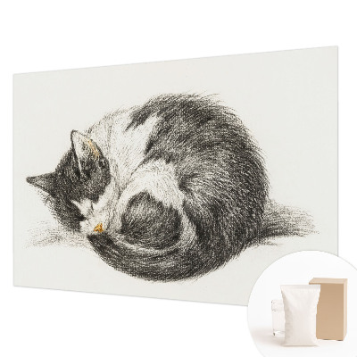 Modern wall mural for bedroom Adorable kitty