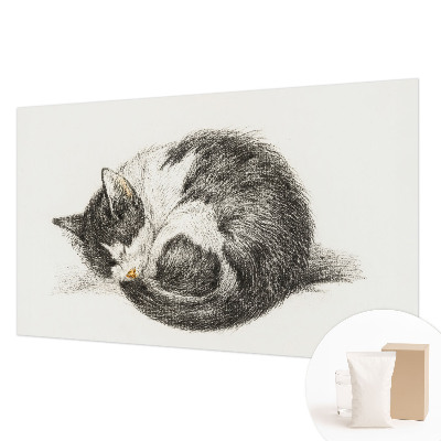 Modern wall mural for bedroom Adorable kitty